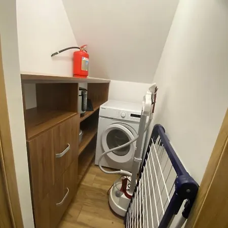 феєрія лісу