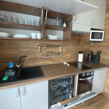 феєрія лісу Aparthotel Skhidnytsia