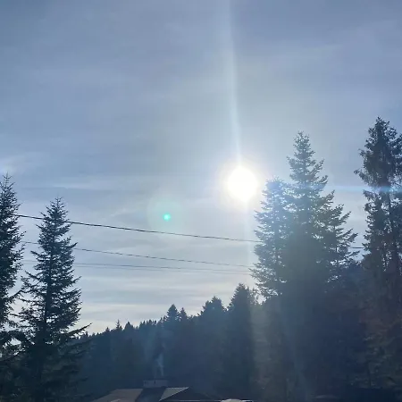 Aparthotel феєрія лісу Skhidnytsia