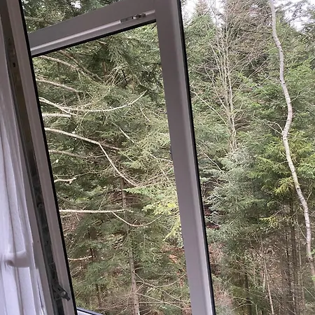 феєрія лісу Aparthotel