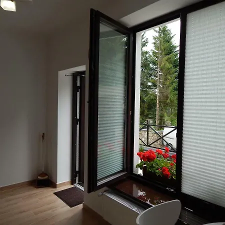 Aparthotel феєрія лісу Skhidnytsia