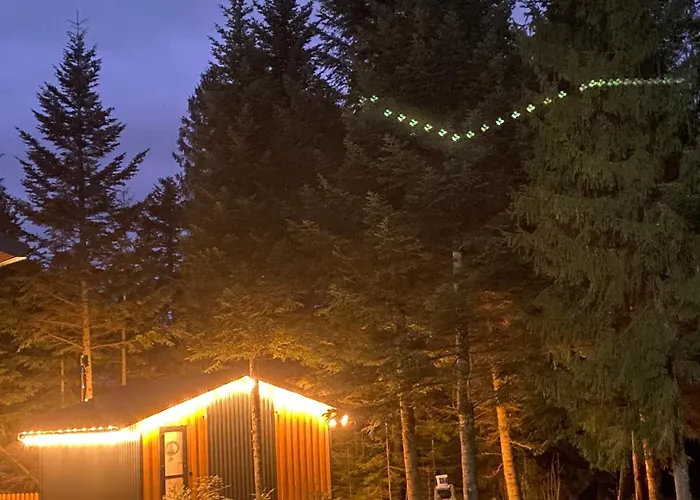 феєрія лісу Apartmanhotel Skhidnytsia