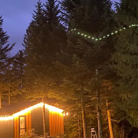 феєрія лісу Lägenhetshotell Skhidnytsia