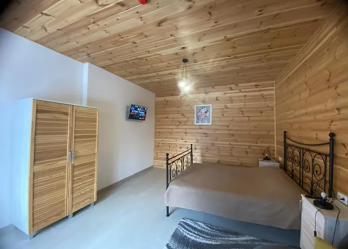 Lägenhetshotell феєрія лісу Skhidnytsia