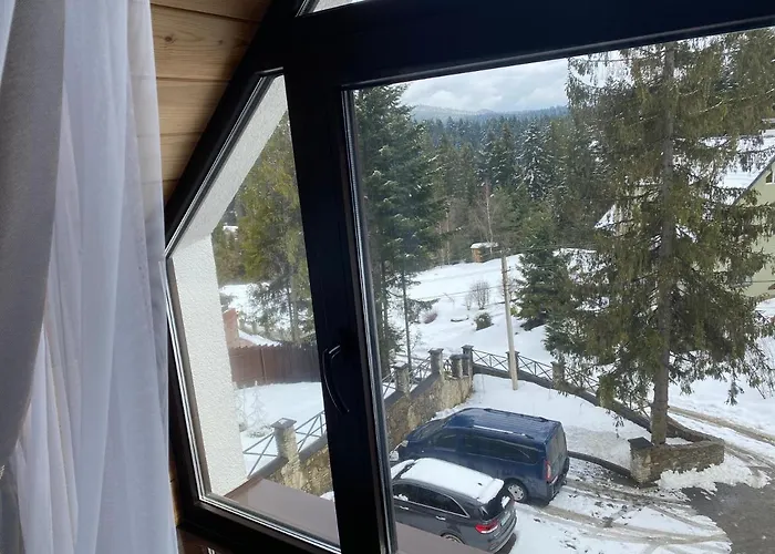 феєрія лісу 4* Skhidnytsia
